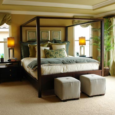 STAINMASTER® Carpet | Spiceland, IN